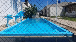 El pelado willy
